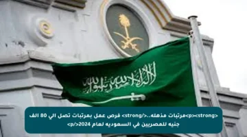 <p><strong>مرتبات مذهلة..</strong> فرص عمل بمرتبات تصل إلى 80 ألف جنيه للمصريين في السعودية لعام 2024</p>